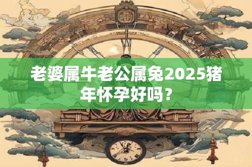 老婆属牛老公属兔2025猪年怀孕好吗？