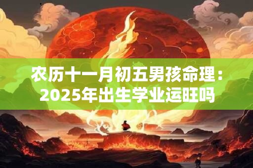 农历十一月初五男孩命理：2025年出生学业运旺吗
