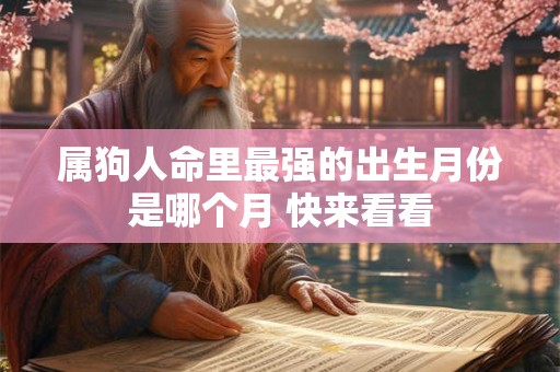 属狗人命里最强的出生月份是哪个月 快来看看