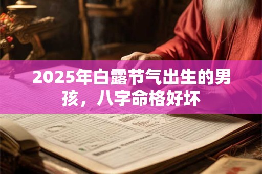 2025年白露节气出生的男孩，八字命格好坏