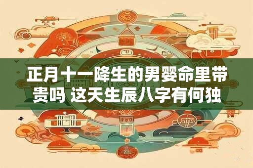 正月十一降生的男婴命里带贵吗 这天生辰八字有何独特之处