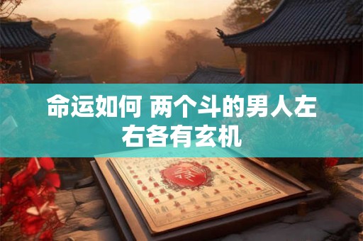 命运如何 两个斗的男人左右各有玄机