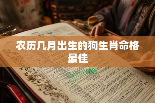 农历几月出生的狗生肖命格最佳