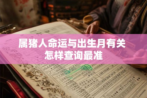 属猪人命运与出生月有关 怎样查询最准