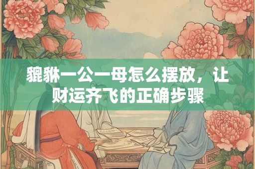貔貅一公一母怎么摆放，让财运齐飞的正确步骤