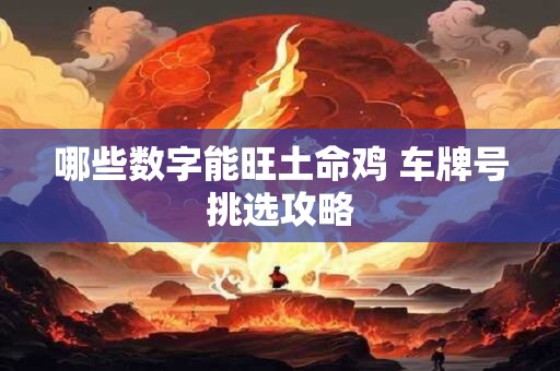 哪些数字能旺土命鸡 车牌号挑选攻略