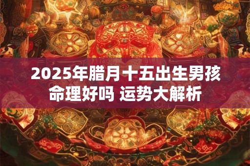 2026年腊月十五出生男孩命理好吗 运势大解析