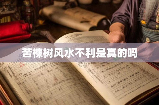 苦楝树风水不利是真的吗 苦楝树风水不利是真的吗