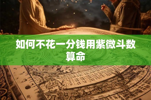 如何不花一分钱用紫微斗数算命