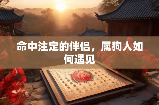 命中注定的伴侣，属狗人如何遇见