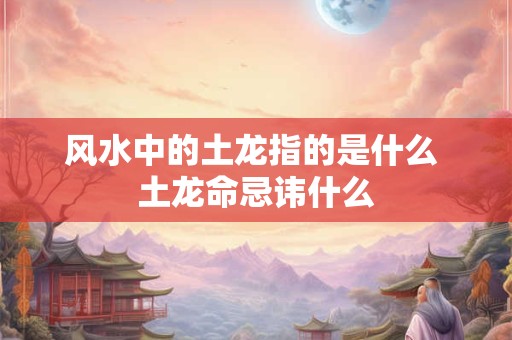 风水中的土龙指的是什么 土龙命忌讳什么