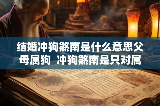 结婚冲狗煞南是什么意思父母属狗  冲狗煞南是只对属狗的不利吗