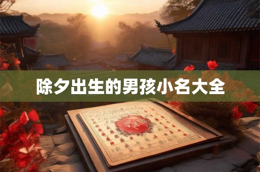 除夕出生的男孩小名大全