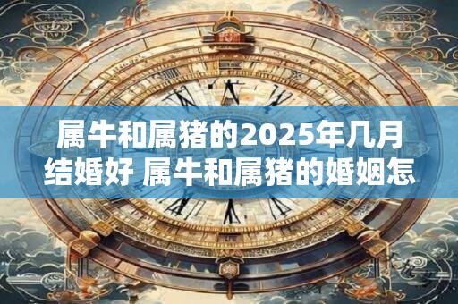 属牛和属猪的2025年几月结婚好 属牛和属猪的婚姻怎么样