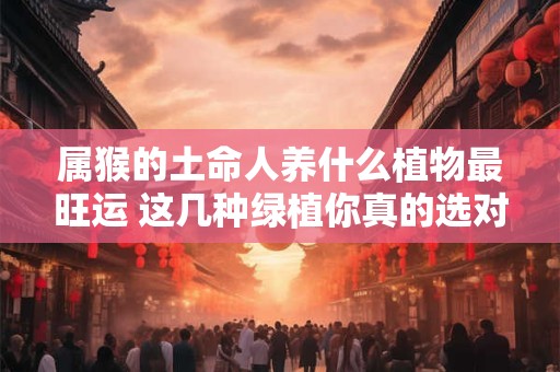 属猴的土命人养什么植物最旺运 这几种绿植你真的选对了吗