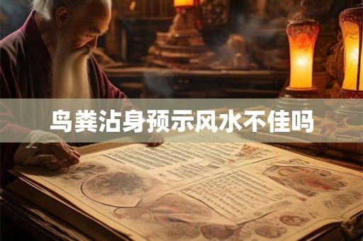 鸟粪沾身预示风水不佳吗