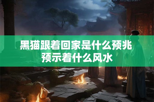 黑猫跟着回家是什么预兆 预示着什么风水