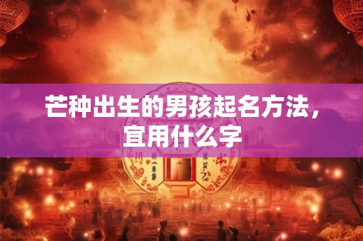 芒种出生的男孩起名方法，宜用什么字