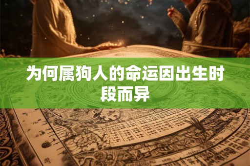 为何属狗人的命运因出生时段而异