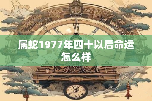 属蛇1977年四十以后命运怎么样