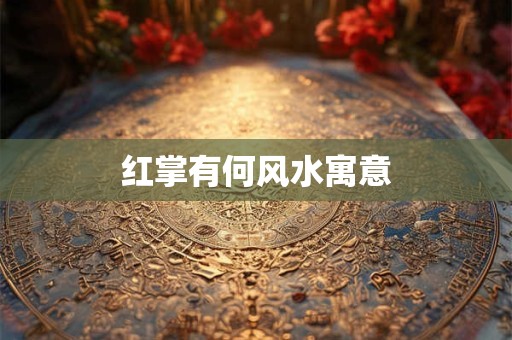 红掌有何风水寓意