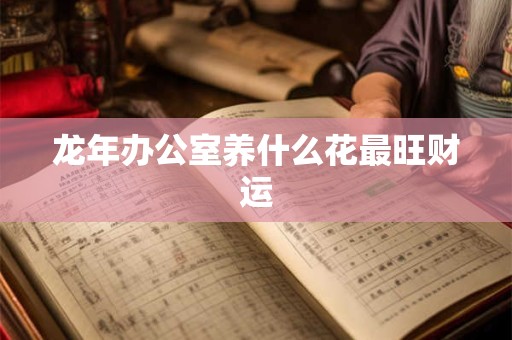 龙年办公室养什么花最旺财运