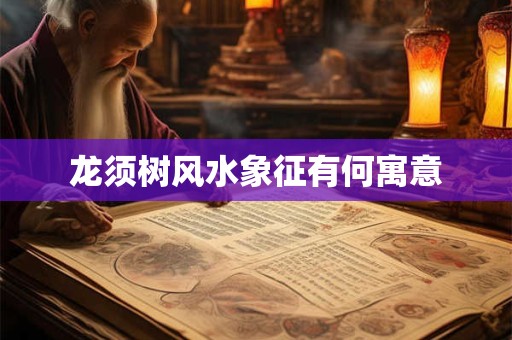 龙须树风水象征有何寓意