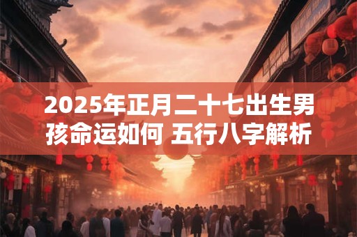 2025年正月二十七出生男孩命运如何 五行八字解析