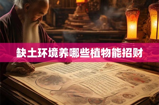 缺土环境养哪些植物能招财