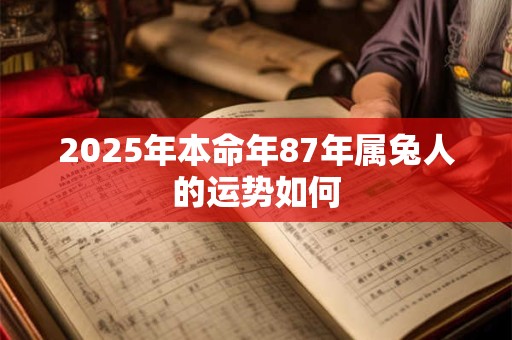 2025年本命年87年属兔人的运势如何