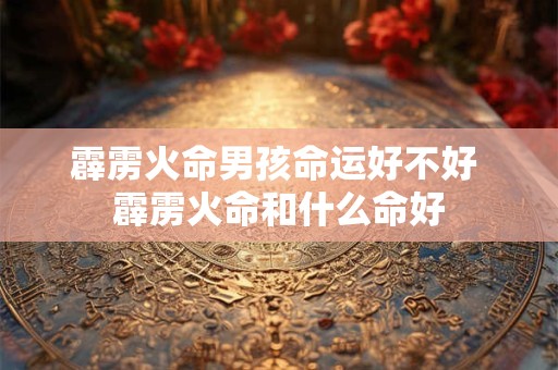 霹雳火命男孩命运好不好 霹雳火命和什么命好