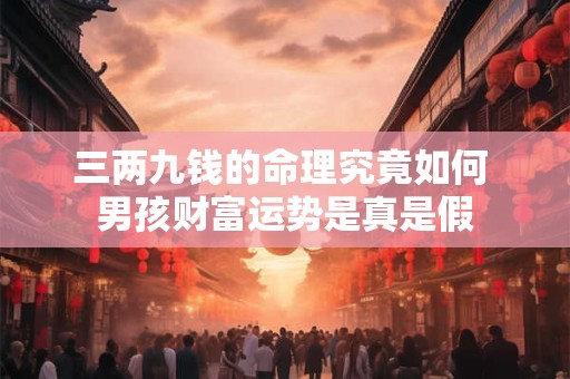 三两九钱的命理究竟如何 男孩财富运势是真是假