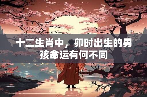 十二生肖中，卯时出生的男孩命运有何不同