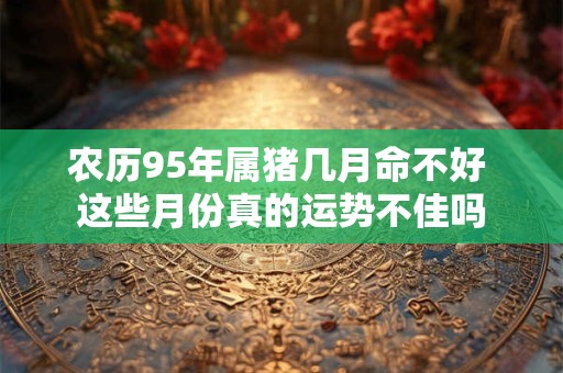 农历95年属猪几月命不好 这些月份真的运势不佳吗