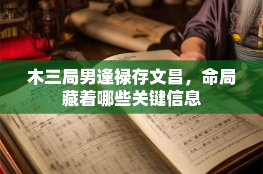 木三局男逢禄存文昌，命局藏着哪些关键信息