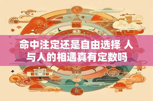 命中注定还是自由选择 人与人的相遇真有定数吗