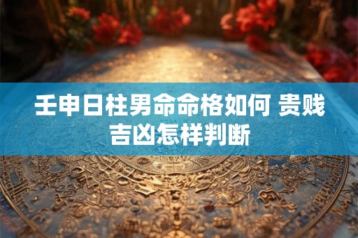壬申日柱男命命格如何 贵贱吉凶怎样判断