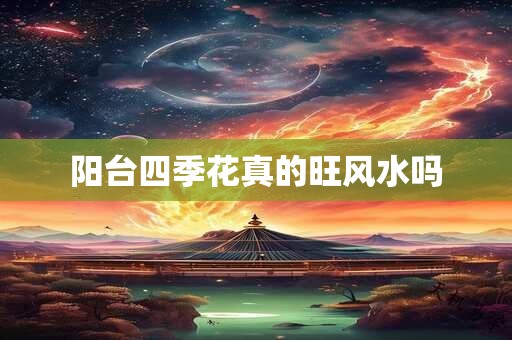 阳台四季花真的旺风水吗