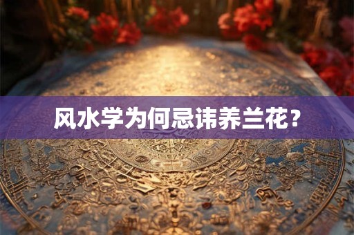 风水学为何忌讳养兰花？