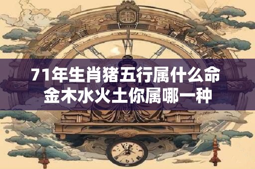 71年生肖猪五行属什么命 金木水火土你属哪一种