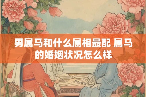 男属马和什么属相最配 属马的婚姻状况怎么样