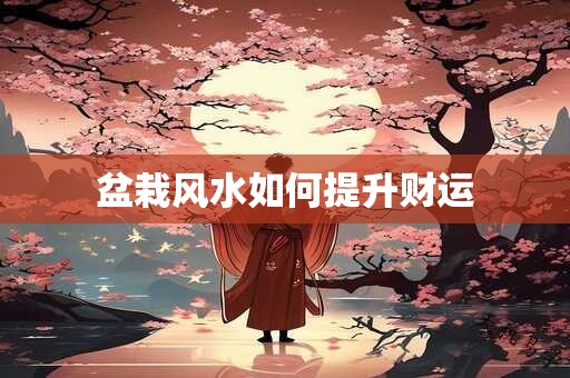 盆栽风水如何提升财运