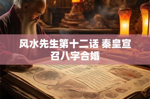 风水先生第十二话 秦皇宣召八字合婚