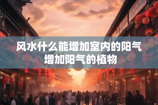风水什么能增加室内的阳气 增加阳气的植物