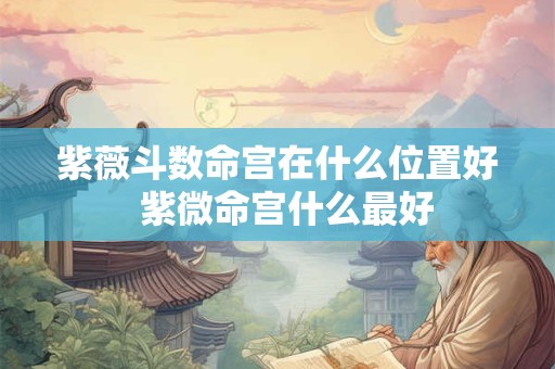 紫薇斗数命宫在什么位置好  紫微命宫什么最好