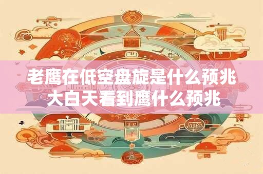 老鹰在低空盘旋是什么预兆 大白天看到鹰什么预兆