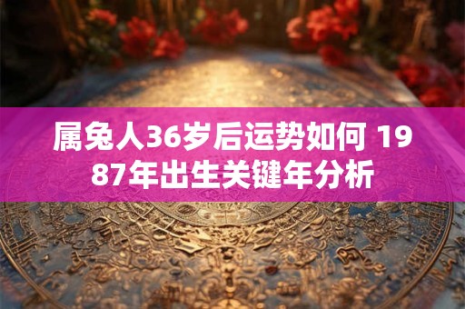属兔人36岁后运势如何 1987年出生关键年分析