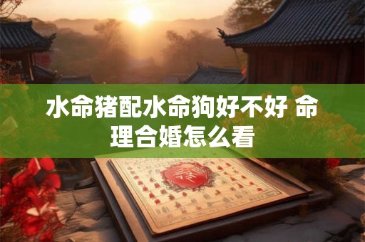 水命猪配水命狗好不好 命理合婚怎么看