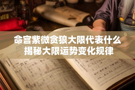 命宫紫微贪狼大限代表什么 揭秘大限运势变化规律