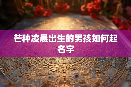 芒种凌晨出生的男孩如何起名字